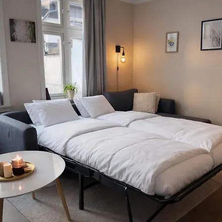 Twin Flats 1st Floor In Centre - Norwegians Minimum Age 25 * Bergen