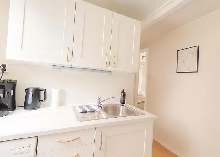 Twin Flats 1st Floor In Centre - Norwegians Minimum Age 25 Apartment Bergen